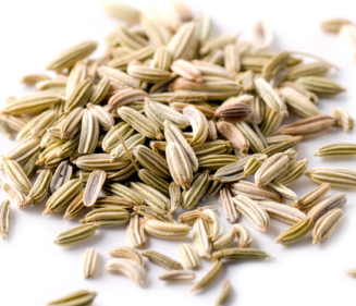 Fennel Bitter Essential Oil 5